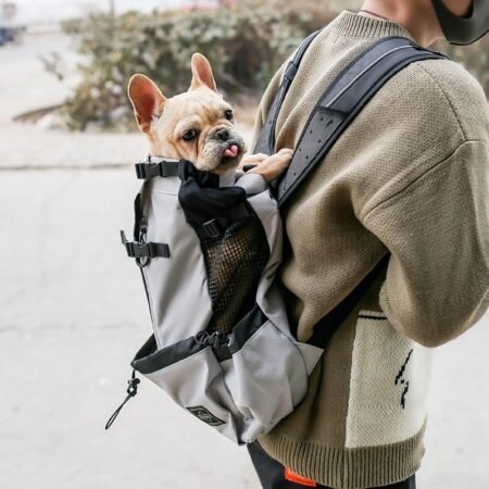 Pet Carrier Bag