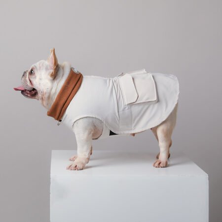 Pet Clothes